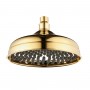 Душевая лейка верхняя LEMARK LM8989G, круглая диаметр 204 мм, для серий BRAVA, золото Душевая лейка верхняя LEMARK LM8989G, круглая диаметр 204 мм, для серий BRAVA, золото